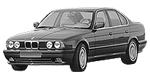 BMW E34 P0A1A Fault Code